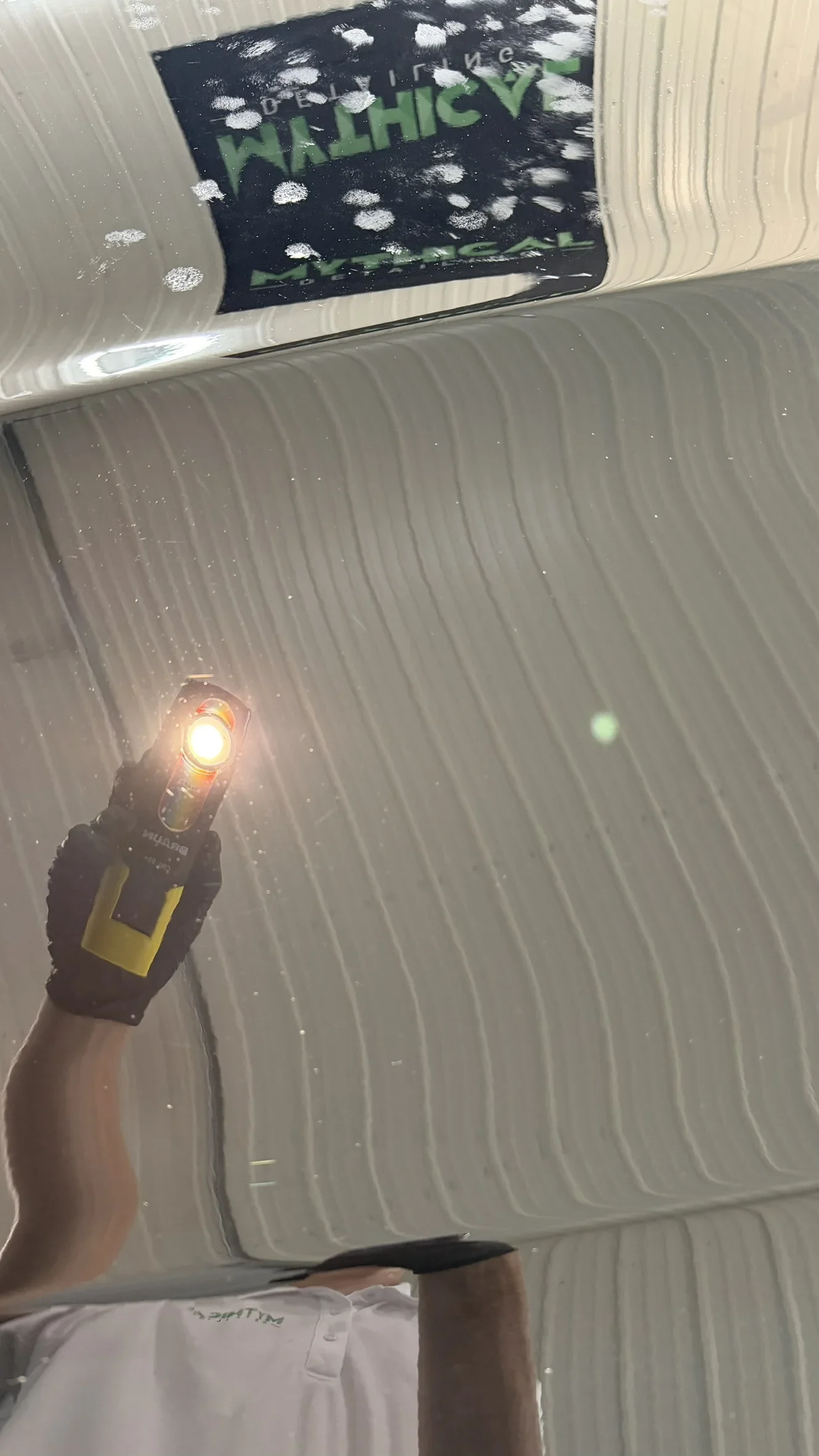Paint after professional correction - deep gloss restoration Kansas City